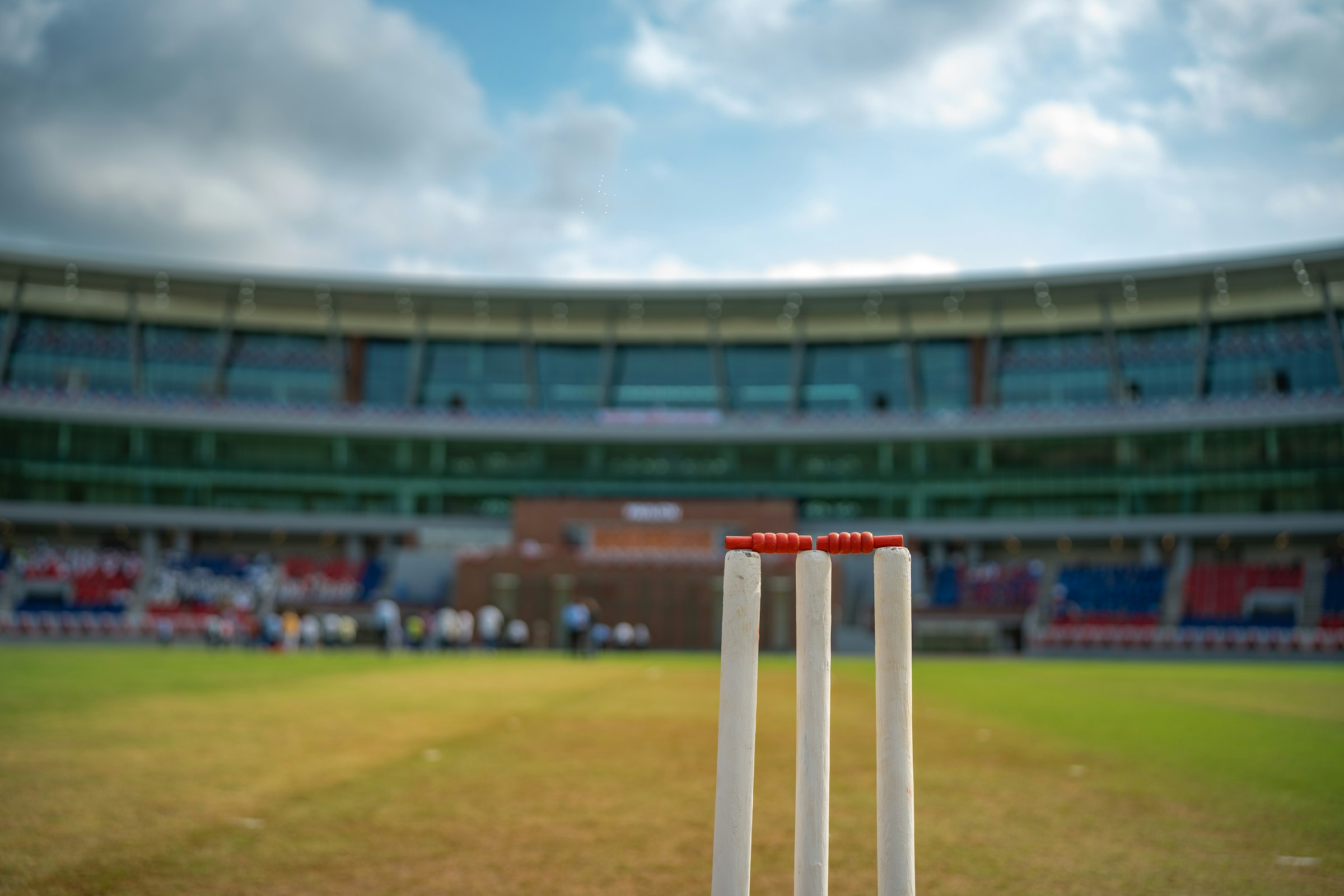 Cricket pitch under lights
